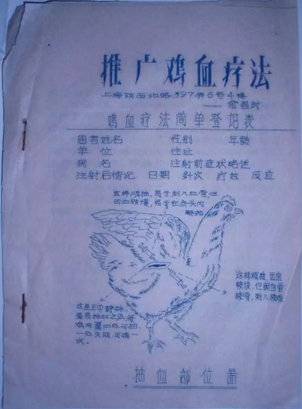 科普：“打雞血”一詞是怎么來的？