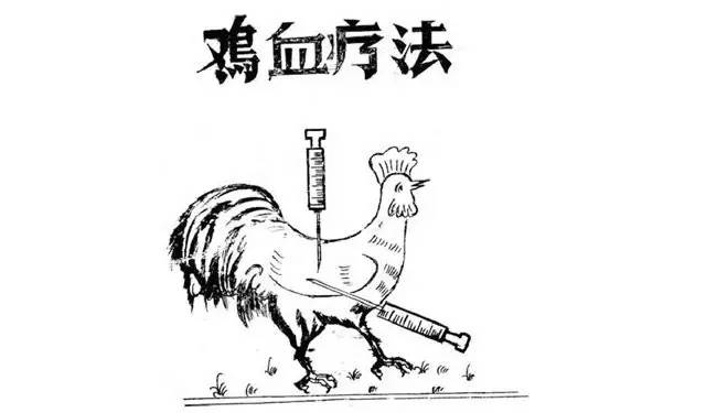 科普：“打雞血”一詞是怎么來的？