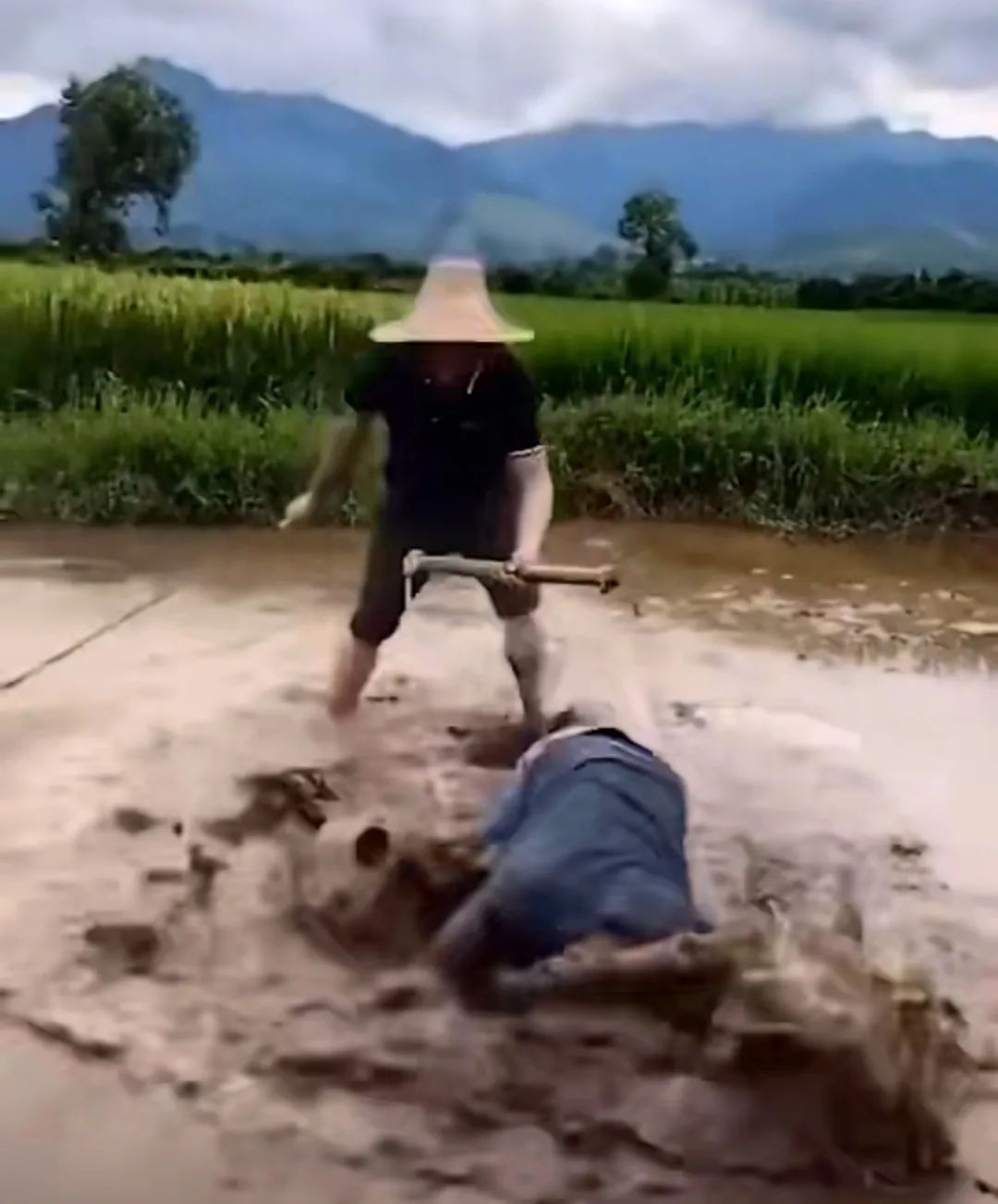 全網刷爆的山東“曹縣”，到底什么梗啊