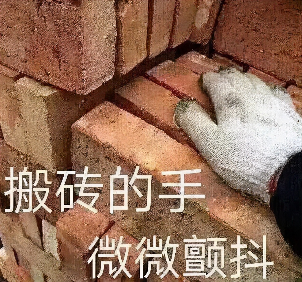 全網刷爆的山東“曹縣”，到底什么梗啊