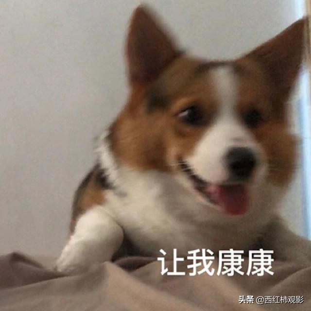 古裝劇推薦女扮男裝(盤點國產(chǎn)劇中優(yōu)質(zhì)的女扮男裝)(3)