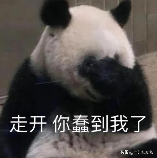 古裝劇推薦女扮男裝(盤點國產(chǎn)劇中優(yōu)質(zhì)的女扮男裝)(2)
