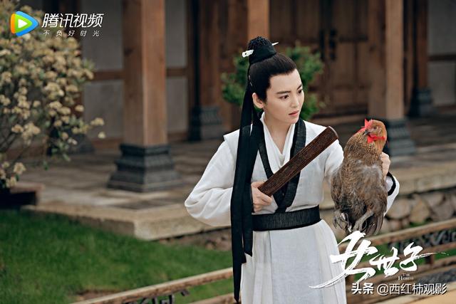 古裝劇推薦女扮男裝(盤點國產(chǎn)劇中優(yōu)質(zhì)的女扮男裝)(7)