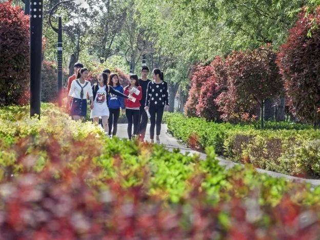 山東理工大學 建筑工程學院(山東省特色名校優(yōu)質(zhì)校)(5)