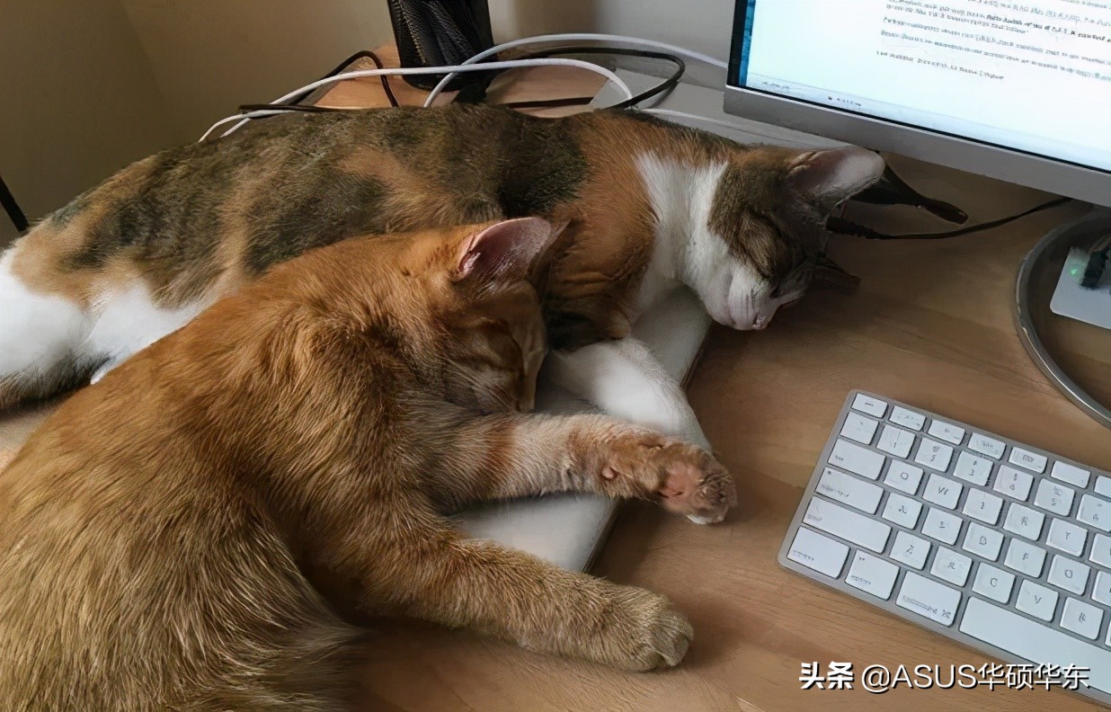 都被微軟騙了，Win10 的關機鍵竟然是假的