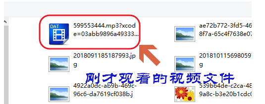 網(wǎng)絡(luò)視頻不支持下載？小租教你快速下載，太方便了！