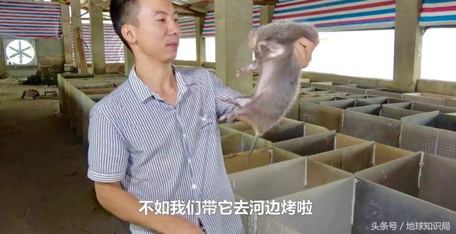 中東流傳已久的這個(gè)禁忌，你真的知道原因嗎｜地球知識(shí)局